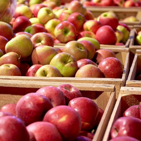 Apfelkisten im Hofladen Feindt im Alten Land