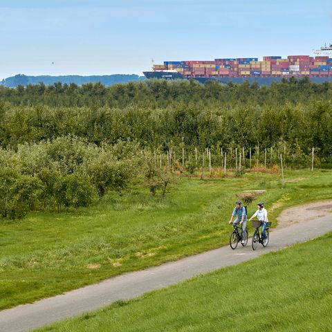Radfahrer im Alten Land im Hintergrund ein Containerschiff