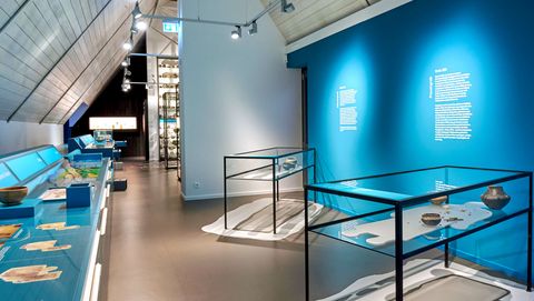 Archäoligische Abteilung vom Buxtehude Museum