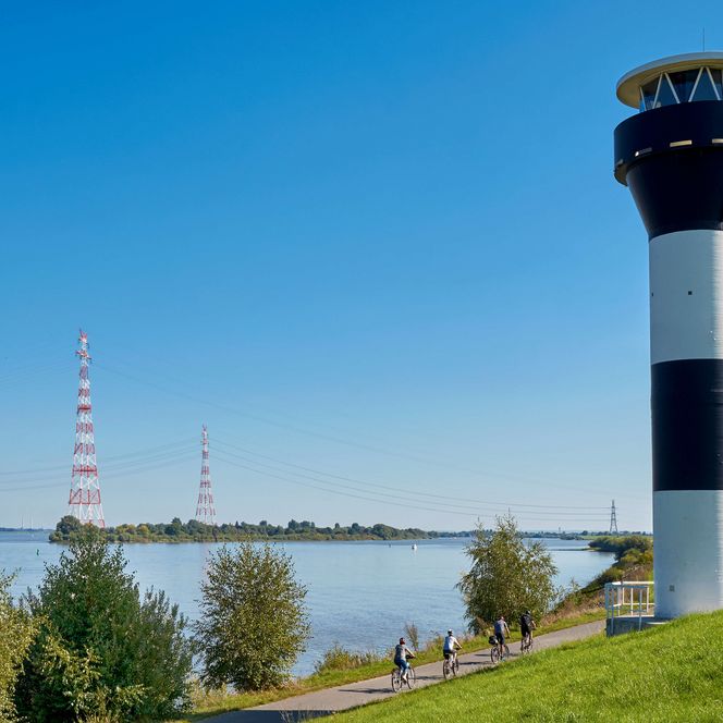 Radfahrer fahren entlang der Elbe vorbei am Twielenflether Leuchtturm