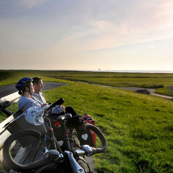 Elberadweg Balje Radfahrer entspannen