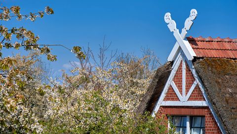 Fachwerkhaus mit Giebelzier hinter Blüten