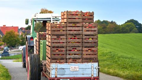 vollbeladener Trecker fährt vom Deich